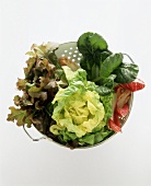 Assorted Lettuce in a Colander From Above