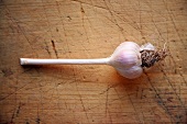 Whole Garlic Bulb on Wood
