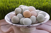 Mehrere weiße und braune Eier in einer Marmorschale vor Grashintergrund