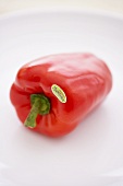 Hydroponic Grown Red Bell Pepper on a White Background