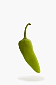 A Single Anaheim Pepper on a White Background