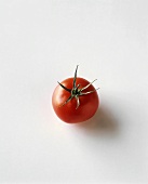 Tomato on a White Background