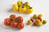 Verschiedene Tomatensorten auf weißem Untergrund