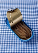 Opened Tin of Anchovies on a Blue and White Checkered Background