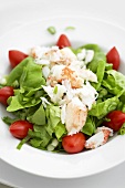 Lobster Salad, Fresh Lobster Meat on Greens with Tomato