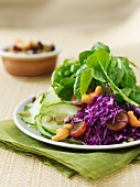 Green salad with shredded red cabbage, grapes and cashew nuts
