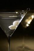 A Gibson Martini Close Up