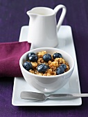 Bowl of Granola with Blueberries