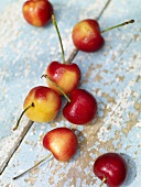 Seven White Cherries