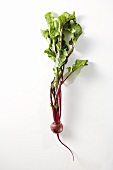 Beet with Greens