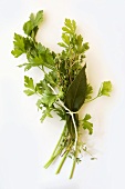 Bouquet Garni with Parsley, Thyme and Bay Leaves