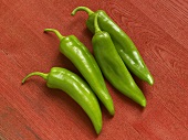 Four Fresh Anaheim Chili Peppers