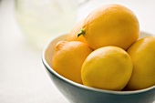 Schale mit frischen Zitronen