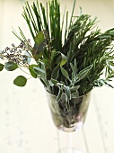 Various Fresh Herbs in a Glass