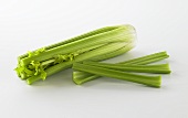 Fresh Celery on White Background