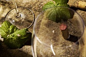 Empty Wine Glasses with Cork and Leaves