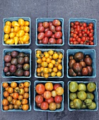 Verschiedene Tomaten in kleinen Kartons