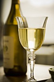Ein Glas Weißwein, im Hintergrund Weissweinflasche