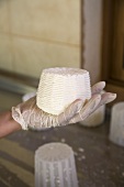 Hand hält Anari-Käse (Nebenprodukt von Halloumi, Zypern)