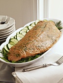 Salmon on Platter with Cucumbers