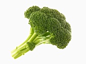 Broccoli on White Background