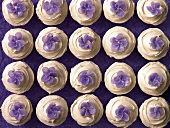 Cupcakes mit violetten Zuckerblüten