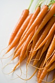 Fresh Carrots