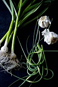 Green Garlic Still Life