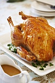 Salt Basted Roasted Turkey on Platter