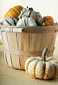 Basket Full of Assorted Gourds and Pumpkins