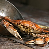 Whole Crab on Rustic Wooden Table