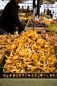 Frische Pilze auf einem Markt in Venedig