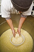 Man Collecting Curds with Hands