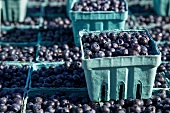 Blueberries in Quart Containers