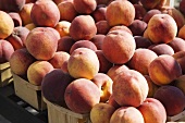 Viele Spankörbe mit frischen Pfirsichen