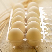 Zwölf weiße Eier im Eierkarton