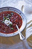 Bowl of Borscht with Scallion and Sour Cream