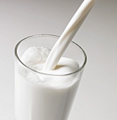 Milk Pouring into a Glass; White Background