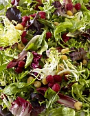 Mixed Greens with Red and Golden Raspberries