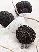 Fresh Black Truffle Mushrooms on Netting