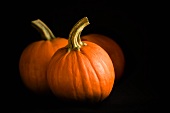 Pumpkins on Black Background