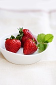 Three Fresh Strawberries in a White Bowl