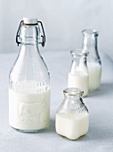 Organic Whole Milk in Assorted Bottles