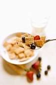 Spoonful of Chex Cereal with Fruit; Bowl of Cereal