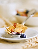 Spoonful of Chex Cereal with Berries; On Plate