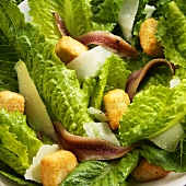 Cäsarsalat mit Anchovis und Croûtons (Close Up)