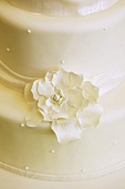 Close Up of White Flower on White Wedding Cake
