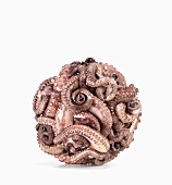 Octopus Ball on White Background
