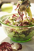 Three Cabbage and Apple Slaw; Spoon Scooping from Bowl
