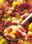 Candy Corn on Spoon with Autumn Floral Background
